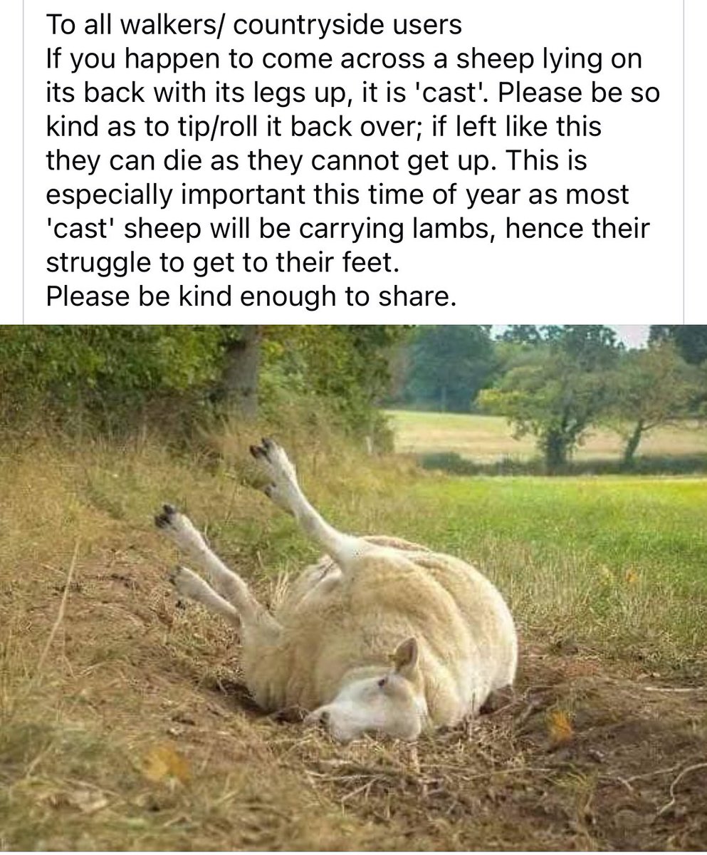 Anne1UK's tweet photo. This 👇🏽👇🏽 https://t.co/QGIsfpMBLC