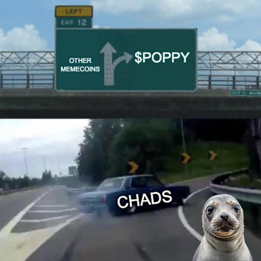 poppyonsui's tweet photo. Only true $POPPY chads know what it means to hodl with conviction! 🦭💎 When do you join us?

https://t.co/5RDSZ8WefG

#POPPY #SUI #MEME #MEMECULT #MOVEPUMP https://t.co/1GjS61cAMe