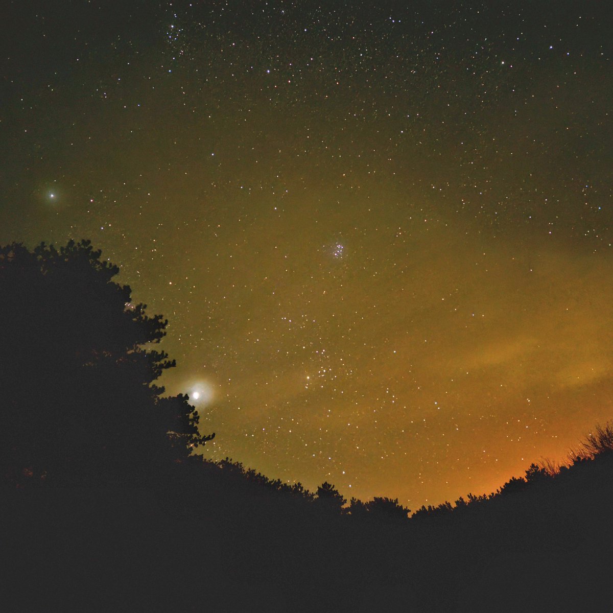 waddensky_nl's tweet image. Voor het Dark Sky Weekend #Terschelling trokken we gisteravond met telescoop het duin in om te genieten van een fantastisch heldere #sterrenhemel 🌌. We zagen de ringen van Saturnus, prachtige sterrenclusters, een schitterende Melkweg en zelfs #noorderlicht! 🌠

#sterrenkijken