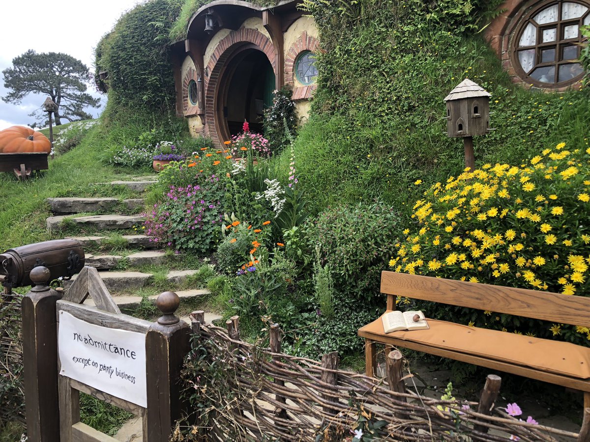 Elizabeth Atchoi tweet media