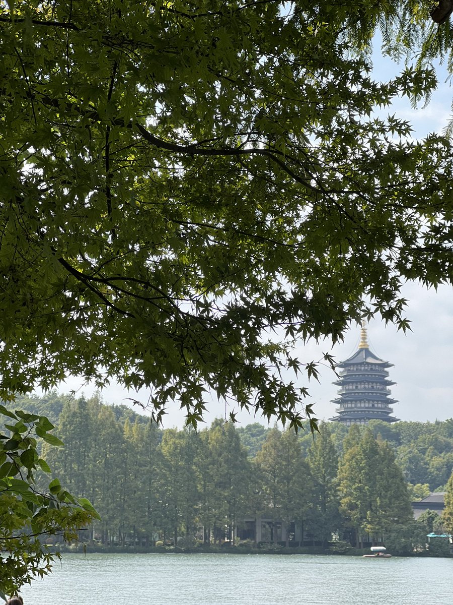 ELeeansyah's tweet image. Had a great week at the #ChineseSocietyforImmunology conference in Hangzhou! Let the love for #MAIT and #unconventional T cells spread 😎