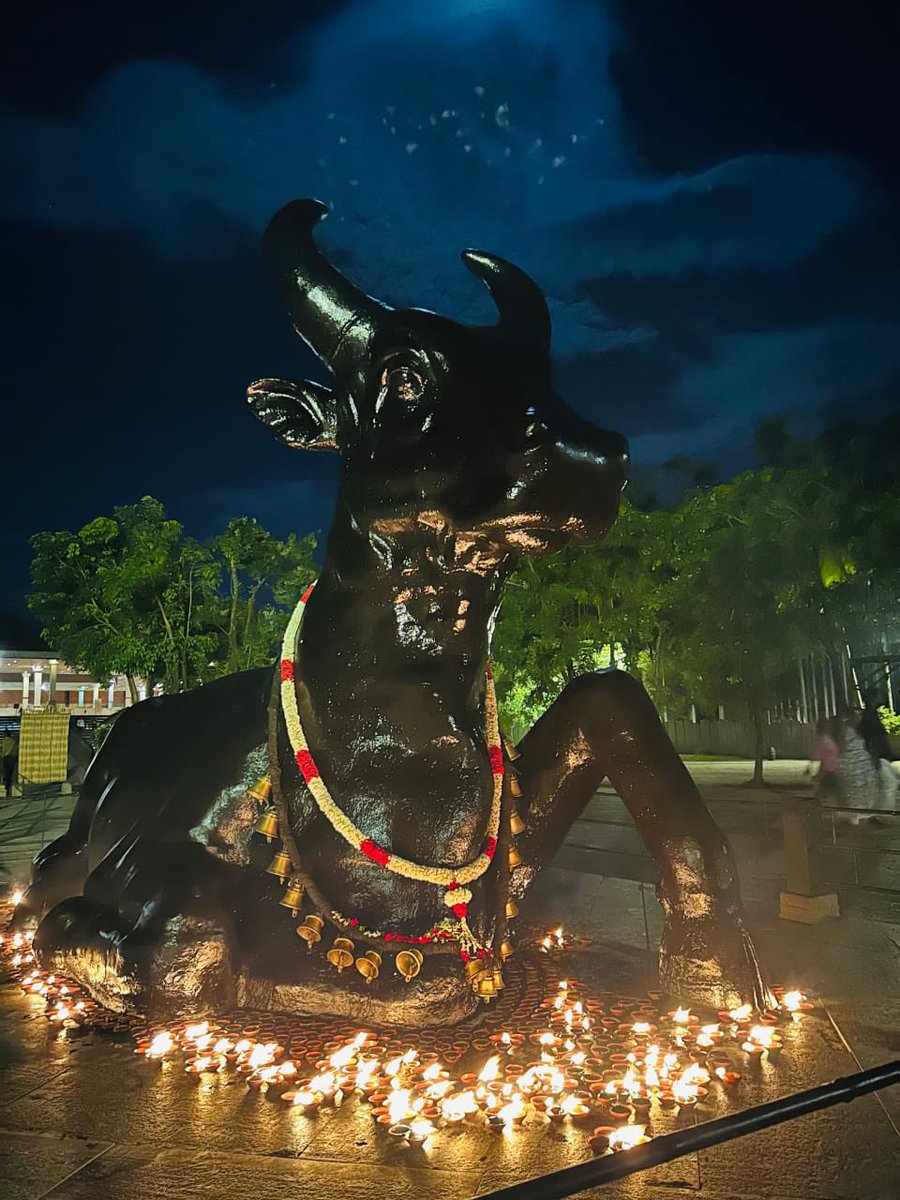 Prachi Agnihotri tweet media