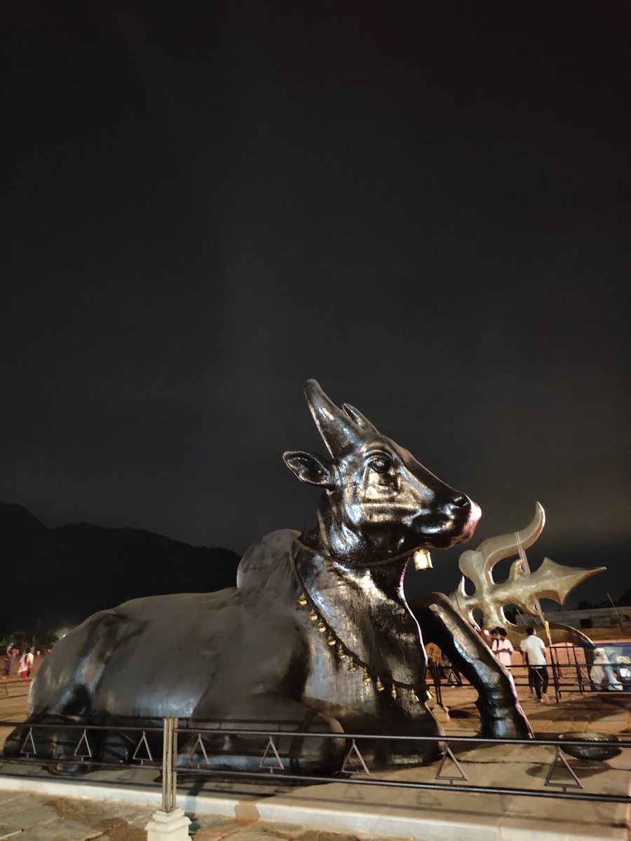 Prachi Agnihotri tweet media