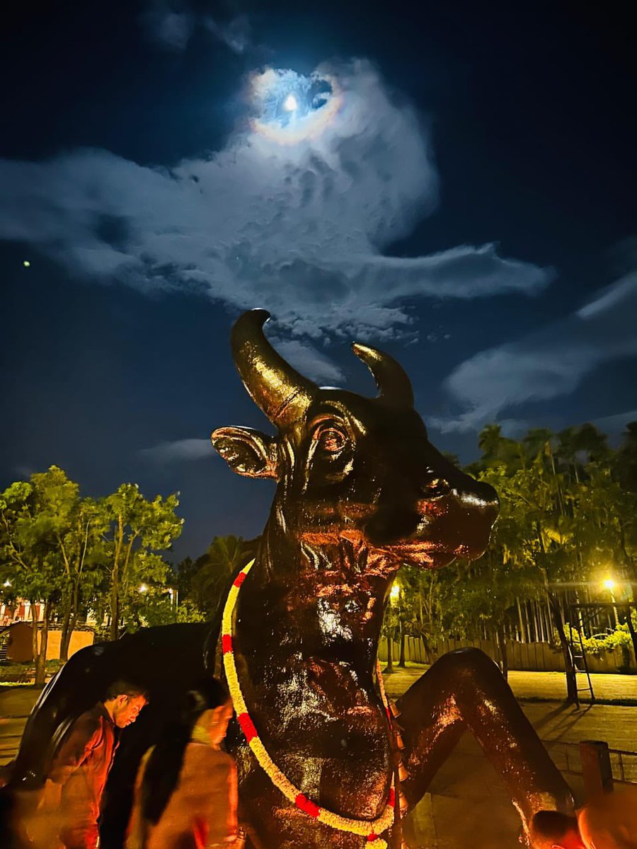 Prachi Agnihotri tweet media