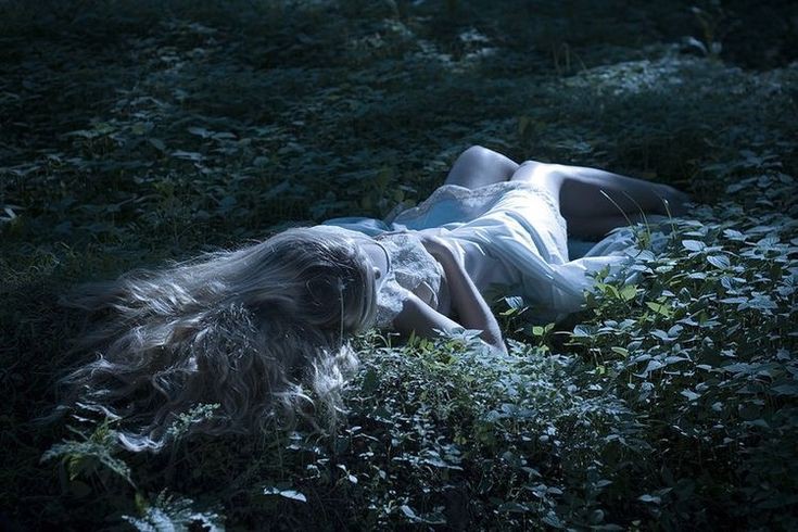 ⋆.ೃ࿔*:･𝖇𓆩♡𓆪˖*°࿐ (@niphrediill) on Twitter photo 