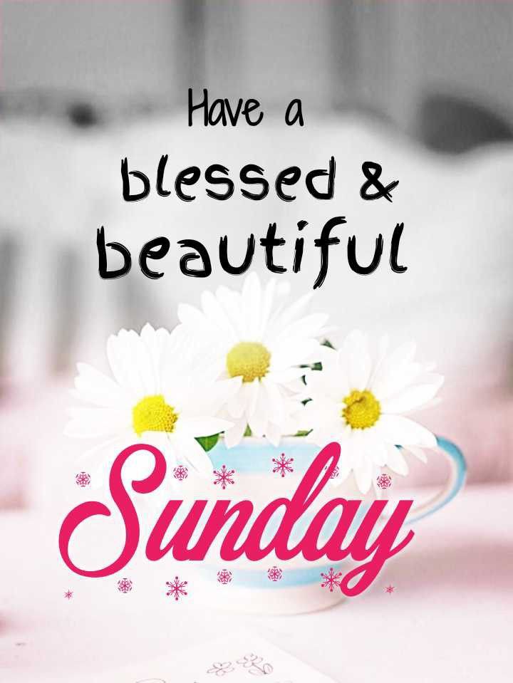 I wish you love💕 
happiness and blessings 

Hello everyone 💐