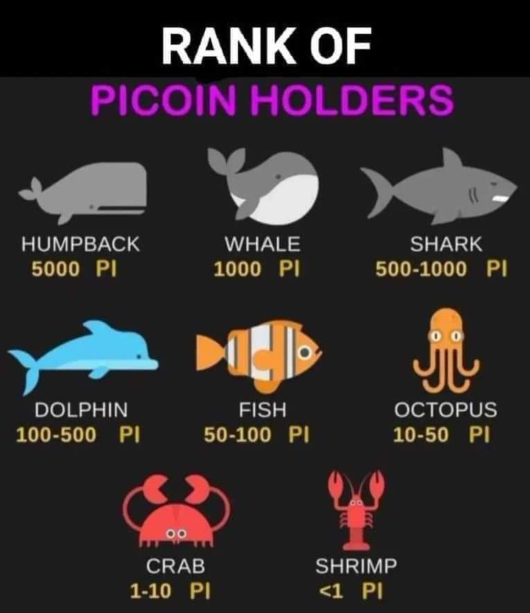 Are you swimming in the sea of Pi ? 
#PiNetwork $pi #picoin #CryptoGem