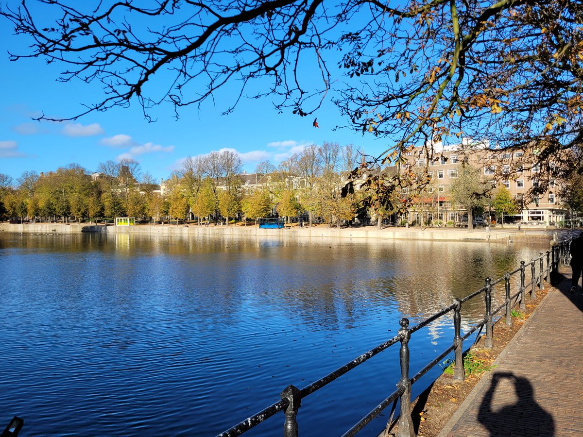 #DenHaag Hofvijver en Lange Vijverberg
