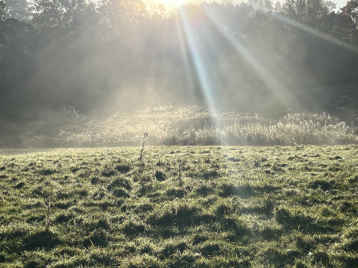 Morning all, rise and shine!