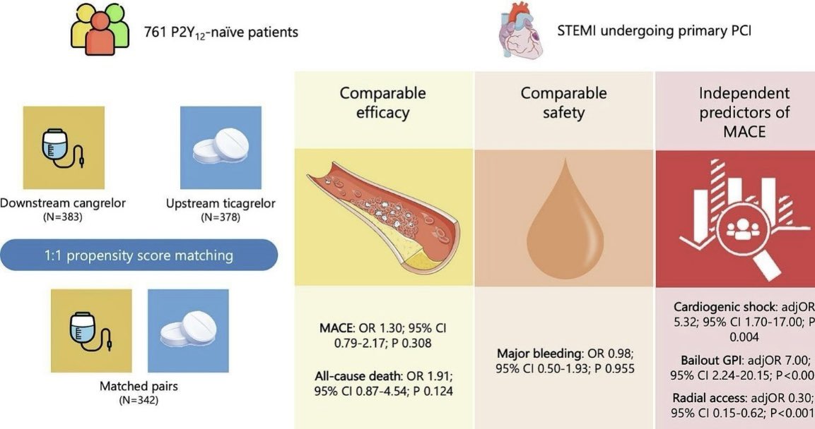 Lorenzo Scalia (@drlorenzoscalia) on Twitter photo 📊🩸 In this propensity score-matched study, downstream cangrelor and upstream ticagrelor were associated with comparable rates of in-hospital clinical outcomes
lnkd.in/ds8UHtzn
<a href="/IJCardio/">International Journal of Cardiology</a>
#Cangrelor #Ticagrelor #PCI #STEMI #CardioTwitter #IJC #P2Y12 📊🩸 In this propensity score-matched study, downstream cangrelor and upstream ticagrelor were associated with comparable rates of in-hospital clinical outcomes
lnkd.in/ds8UHtzn
<a href="/IJCardio/">International Journal of Cardiology</a>
#Cangrelor #Ticagrelor #PCI #STEMI #CardioTwitter #IJC #P2Y12