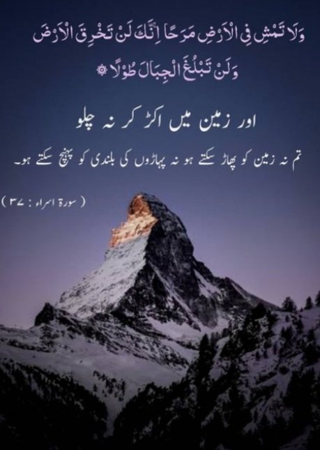 Tariq Javed (@_tj0099) on Twitter photo 