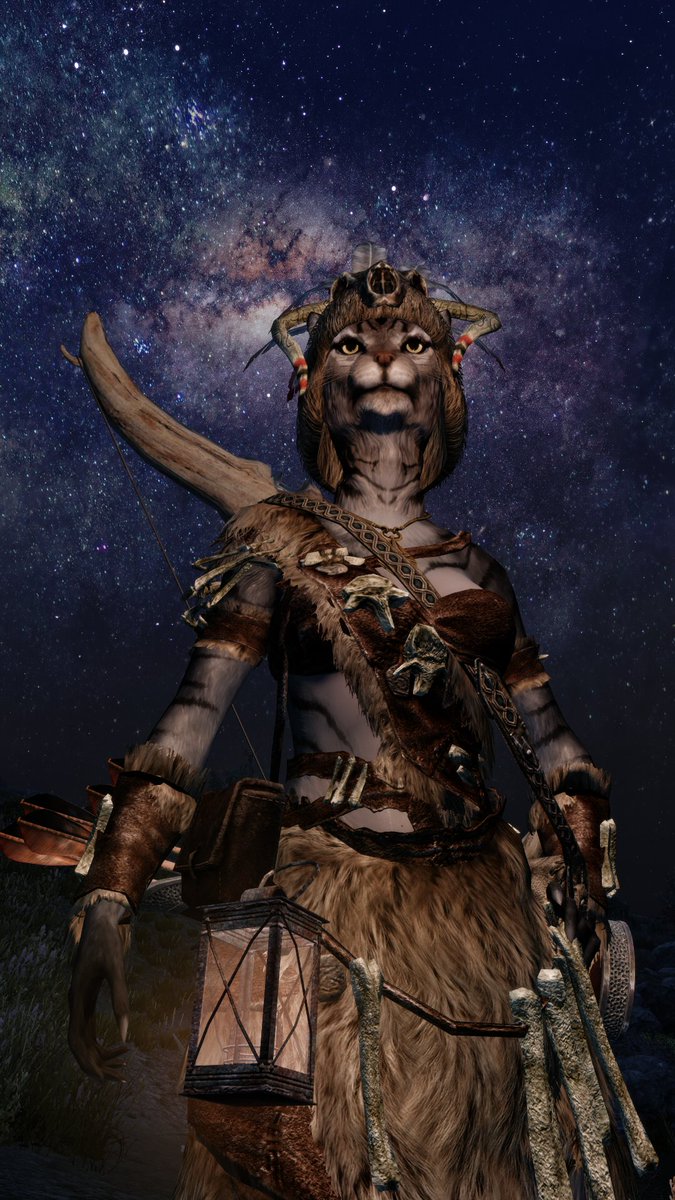 スカイリムの宇宙猫
#スカイリム #Skyrim #SkyrimSE