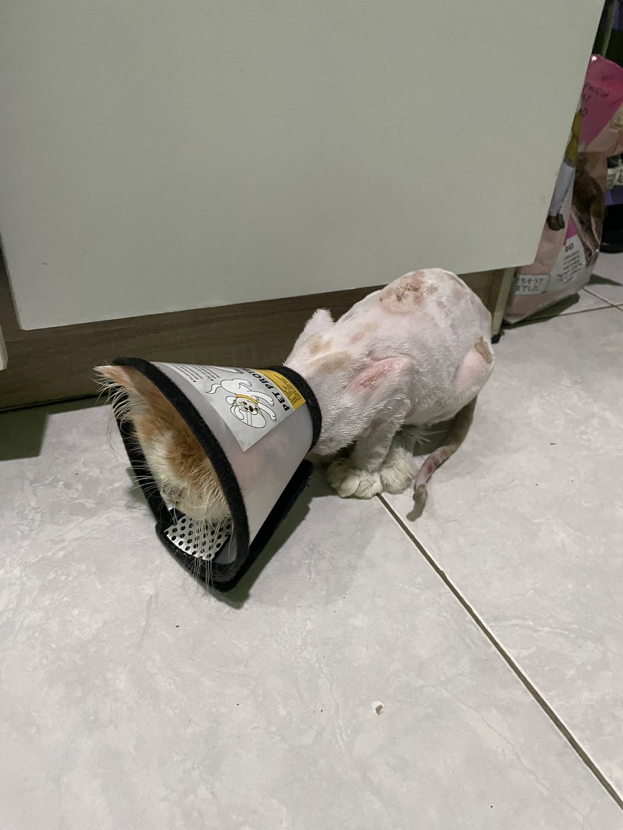 adek jadii culutt😖😖😖😖