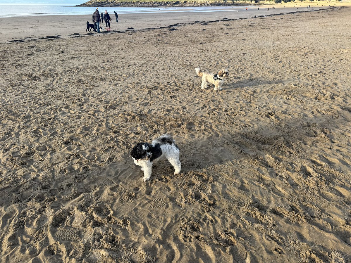 Ronnie & Reggie tweet media