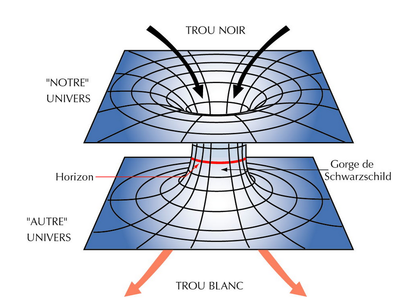 Livres et Science tweet media