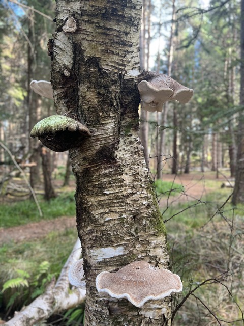 Samuel Smith tweet media