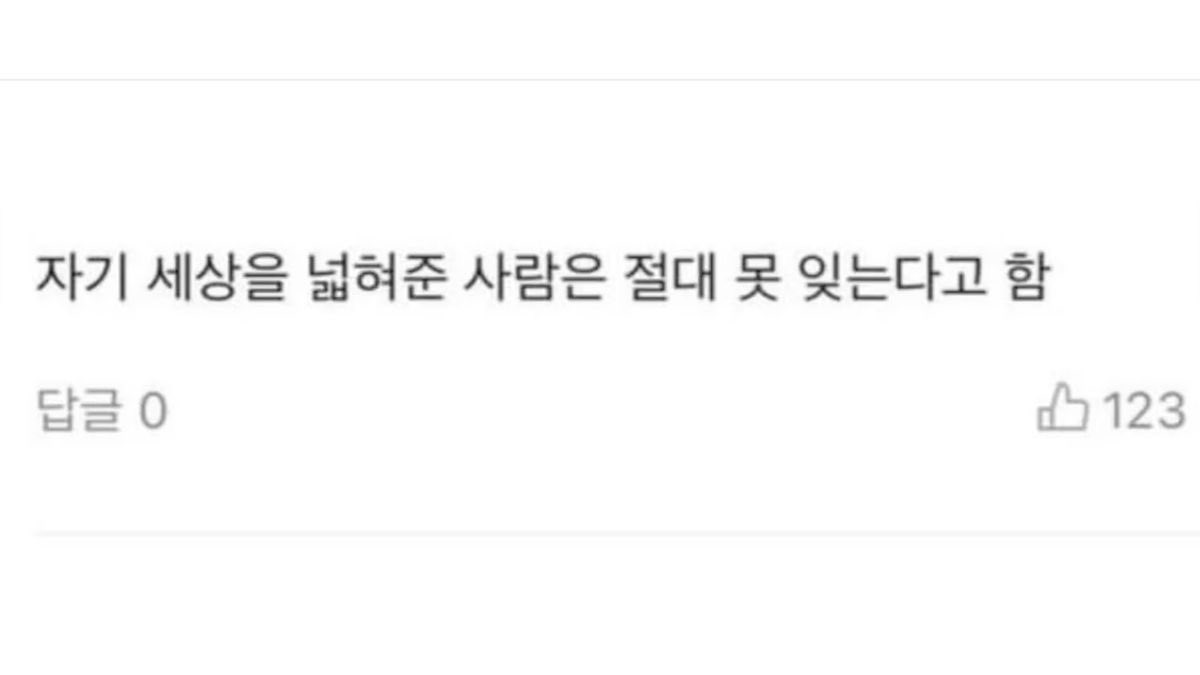 소심좌 tweet media