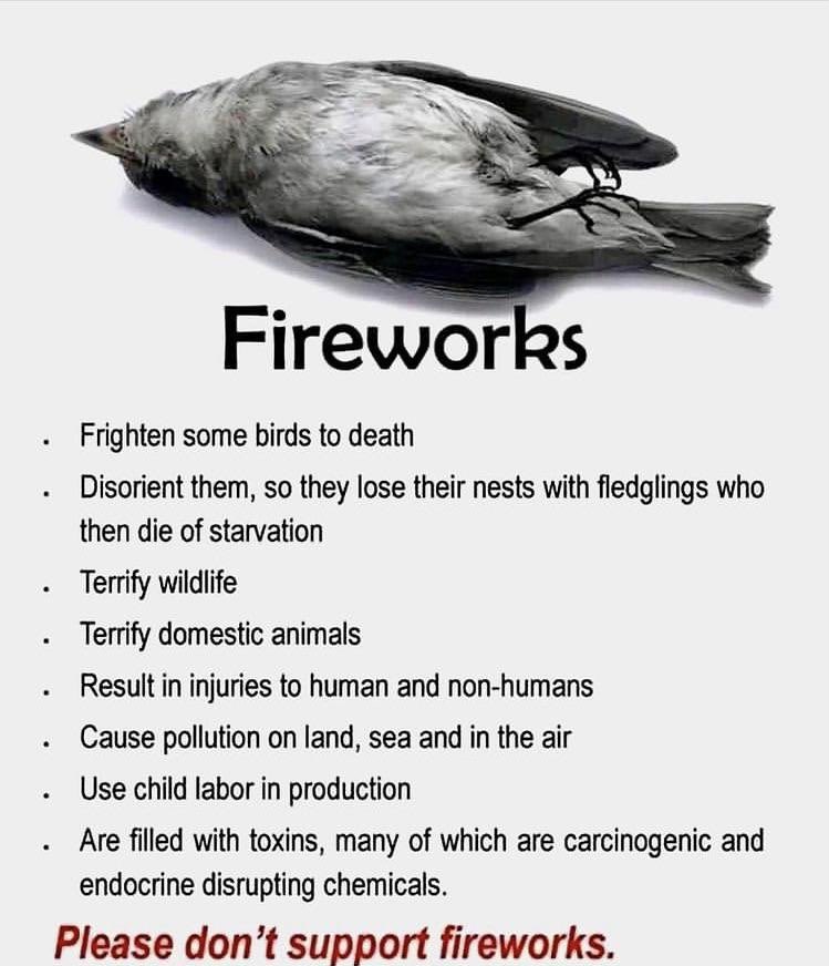 Please have have some empathy and compassion and Don’t Buy Fireworks