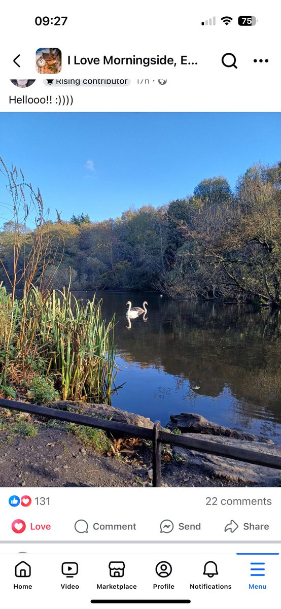 Sheena Nimmo tweet media