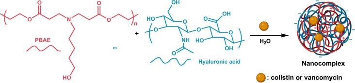 📰🔝 <a href="/eurestop/">EURESTOP</a> members have fabricated poly(β-amino ester) and hyaluronic acid based pH responsive nanocomplex as an antibiotic release system, a novel drug delivery systems with ability of local and on-demand delivery👏
Full article at:
sciencedirect.com/science/articl…