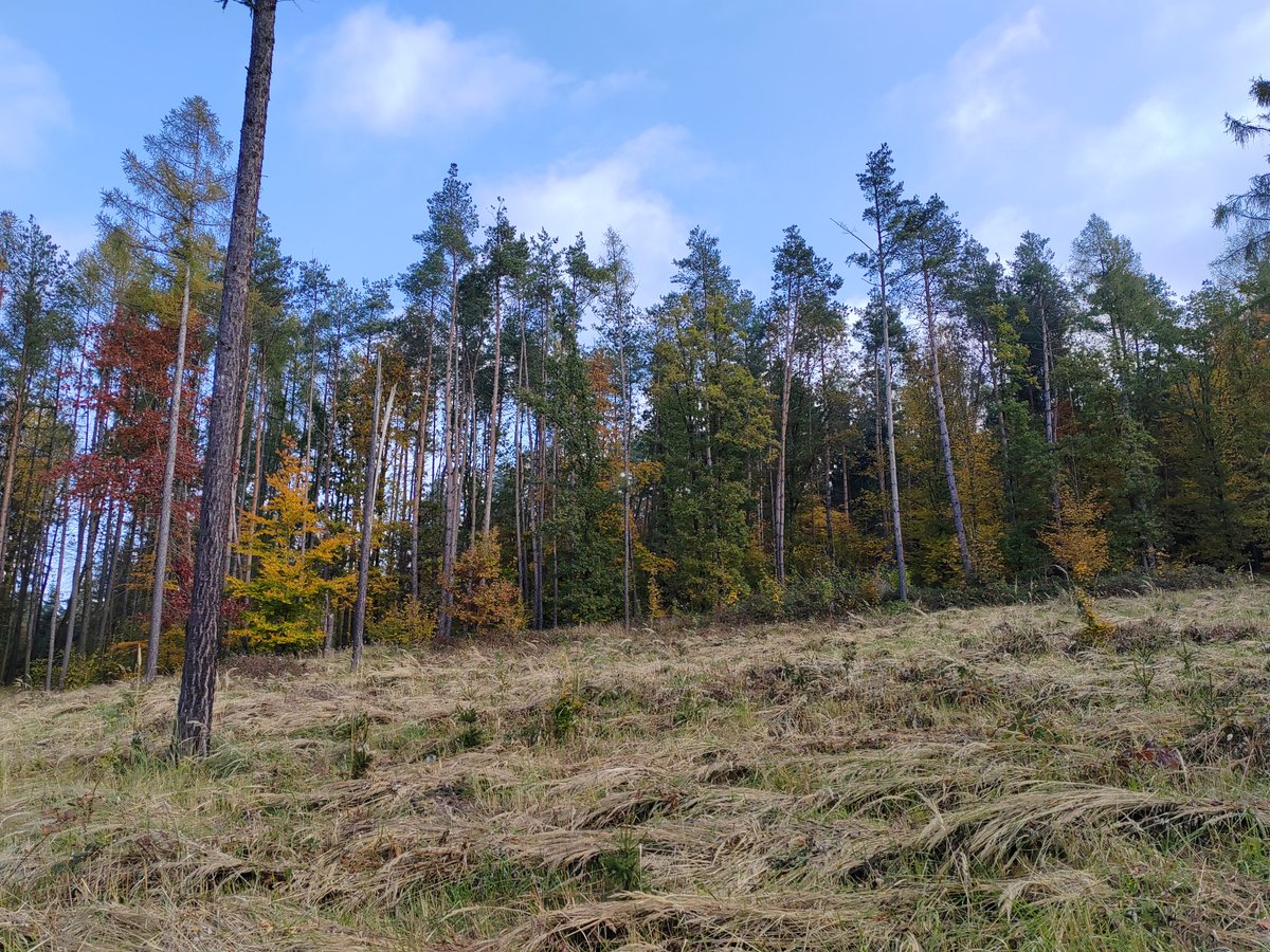 Dany3R9's tweet image. The future depends on what we do in the present.
🌱 We joined forces for a meaningful ESG initiative, planting trees 🌳 to support our commitment to a greener future! Alongside, we had the privilege of learning from local rangers who shared animals insights🐗
#ESG #teradata