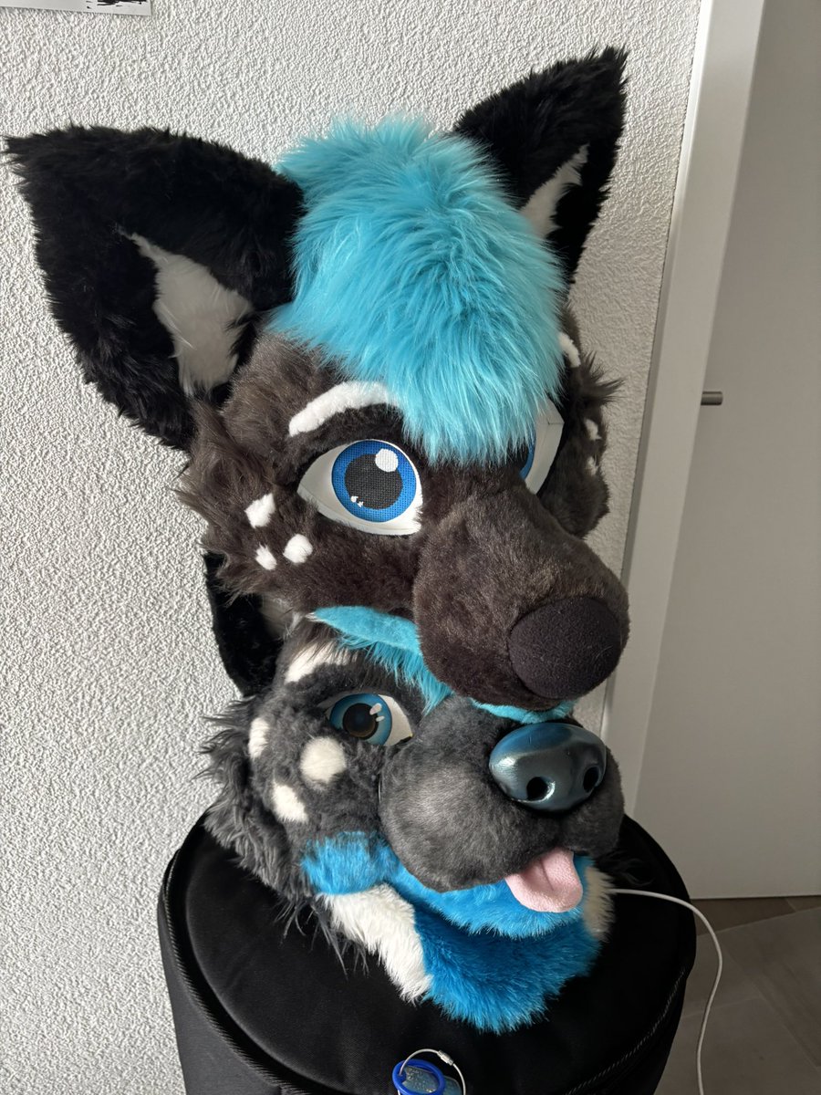 Slowly getting ready for FBL ^^ inventory time ! Those bad guys will come with me :3