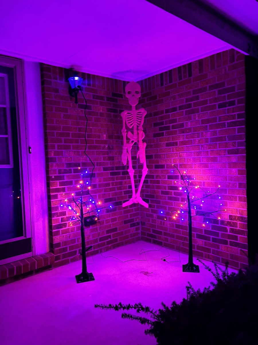 emilyaluia tweet media