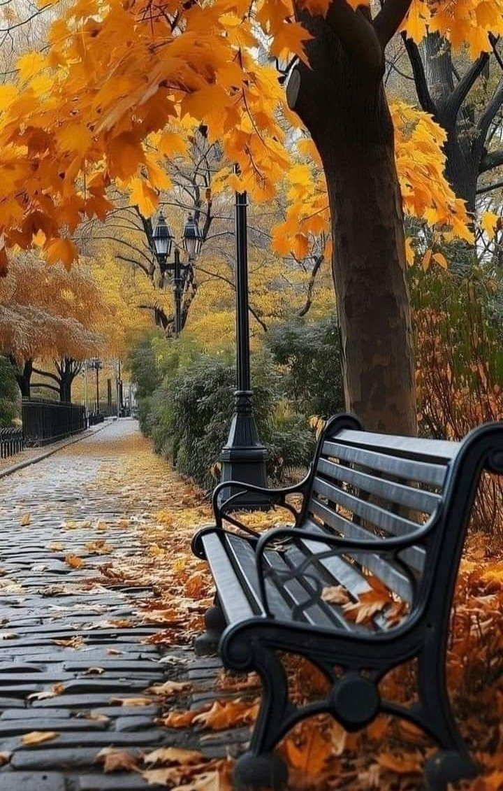 𝑺𝒂𝒋𝒋𝒂𝒅 ✨ (@glmsjd) on Twitter photo #GPG®️
<a href="/Ghz97/">✪𝗚𝖍𝖆𝖟𝖆𝖑𝖆𝖍 𝗦𝖆𝖉𝖆𝖋✪</a> <a href="/Aly9a/">Aly9a</a>
<a href="/Fat9T/">Arshia🥀🍂</a> <a href="/glmsjd/">𝑺𝒂𝒋𝒋𝒂𝒅 ✨</a>
<a href="/Znt33/">🦋ZêēñäT</a> <a href="/Triq25/">⤹𝙈𝙪𝙝𝙖𝙢𝙢𝙖𝙙 𝙏𝙖𝙧𝙞𝙦⤸</a>
<a href="/1GPTI/">Misbah</a> <a href="/Trq88/">✍︎⸙𝐓αɾιϙ 𝐌υɾƚαȥα࿈</a>
<a href="/As_t40/">EriKaCao</a> <a href="/_1rha/">بابا کی لاڈلی</a>
<a href="/ik_553/">.⃝ ⃝ ⃝ ⃝ ⃝💛マスカン 𝐌𝐮𝐬𝐤𝐚𝐧💖. ⃝ ⃝ ⃝ ⃝ ⃝ ⃝💚</a>
<a href="/YPS26/">𝑌𝑎𝑆𝑖𝑅 𝑆𝒉𝑎𝒉𝑍𝑎𝐷</a>
<a href="/zz70m/">🌸Ameer Zahir🇵🇰</a>
<a href="/1Ashi5/">Aisha Hashmi</a>
<a href="/n_oo_r7/">ماہ نور💫</a>
<a href="/Sd_S10/">Sadam Rajput</a>
<a href="/hussu_1/">Syed Hassan Bilal Kazmi</a>
<a href="/BolSdq/">Siddique Jan</a>
<a href="/Qs3488/">Qamar Shahzad🦅</a>
<a href="/SKN322/">SHAHRYAR KHAN</a>
@Qen_pro
<a href="/shd0016/">Shahid</a>
<a href="/TouchKc/">KC</a>
<a href="/Noorr_06/">🇳🅞︎🅞︎🅡︎</a>
<a href="/OdriSeva/">Odri Seva</a>
<a href="/Sc2017W/">SC2017</a>
@Arsl_4 <a href="/Hfz48/">Hᴀғᴇᴇᴢᴀʜ Aᴋʙᴀʀ</a>
<a href="/1_ruer/">king</a> @IKVEBS
<a href="/Ghz21/">⍟𝐆𝐡𝐚𝐳𝐚𝐥𝐚 𝐒𝐚𝐝𝐚𝐟⍟</a> @Ozlerntr
@Lub_03 <a href="/Ghz79/">❃ 𝔾𝕙𝕒𝕫𝕒𝕝𝕒𝕙 𝕊𝕒𝕕𝕒𝕗 ❃</a> #GPG®️
<a href="/Ghz97/">✪𝗚𝖍𝖆𝖟𝖆𝖑𝖆𝖍 𝗦𝖆𝖉𝖆𝖋✪</a> <a href="/Aly9a/">Aly9a</a>
<a href="/Fat9T/">Arshia🥀🍂</a> <a href="/glmsjd/">𝑺𝒂𝒋𝒋𝒂𝒅 ✨</a>
<a href="/Znt33/">🦋ZêēñäT</a> <a href="/Triq25/">⤹𝙈𝙪𝙝𝙖𝙢𝙢𝙖𝙙 𝙏𝙖𝙧𝙞𝙦⤸</a>
<a href="/1GPTI/">Misbah</a> <a href="/Trq88/">✍︎⸙𝐓αɾιϙ 𝐌υɾƚαȥα࿈</a>
<a href="/As_t40/">EriKaCao</a> <a href="/_1rha/">بابا کی لاڈلی</a>
<a href="/ik_553/">.⃝ ⃝ ⃝ ⃝ ⃝💛マスカン 𝐌𝐮𝐬𝐤𝐚𝐧💖. ⃝ ⃝ ⃝ ⃝ ⃝ ⃝💚</a>
<a href="/YPS26/">𝑌𝑎𝑆𝑖𝑅 𝑆𝒉𝑎𝒉𝑍𝑎𝐷</a>
<a href="/zz70m/">🌸Ameer Zahir🇵🇰</a>
<a href="/1Ashi5/">Aisha Hashmi</a>
<a href="/n_oo_r7/">ماہ نور💫</a>
<a href="/Sd_S10/">Sadam Rajput</a>
<a href="/hussu_1/">Syed Hassan Bilal Kazmi</a>
<a href="/BolSdq/">Siddique Jan</a>
<a href="/Qs3488/">Qamar Shahzad🦅</a>
<a href="/SKN322/">SHAHRYAR KHAN</a>
@Qen_pro
<a href="/shd0016/">Shahid</a>
<a href="/TouchKc/">KC</a>
<a href="/Noorr_06/">🇳🅞︎🅞︎🅡︎</a>
<a href="/OdriSeva/">Odri Seva</a>
<a href="/Sc2017W/">SC2017</a>
@Arsl_4 <a href="/Hfz48/">Hᴀғᴇᴇᴢᴀʜ Aᴋʙᴀʀ</a>
<a href="/1_ruer/">king</a> @IKVEBS
<a href="/Ghz21/">⍟𝐆𝐡𝐚𝐳𝐚𝐥𝐚 𝐒𝐚𝐝𝐚𝐟⍟</a> @Ozlerntr
@Lub_03 <a href="/Ghz79/">❃ 𝔾𝕙𝕒𝕫𝕒𝕝𝕒𝕙 𝕊𝕒𝕕𝕒𝕗 ❃</a>