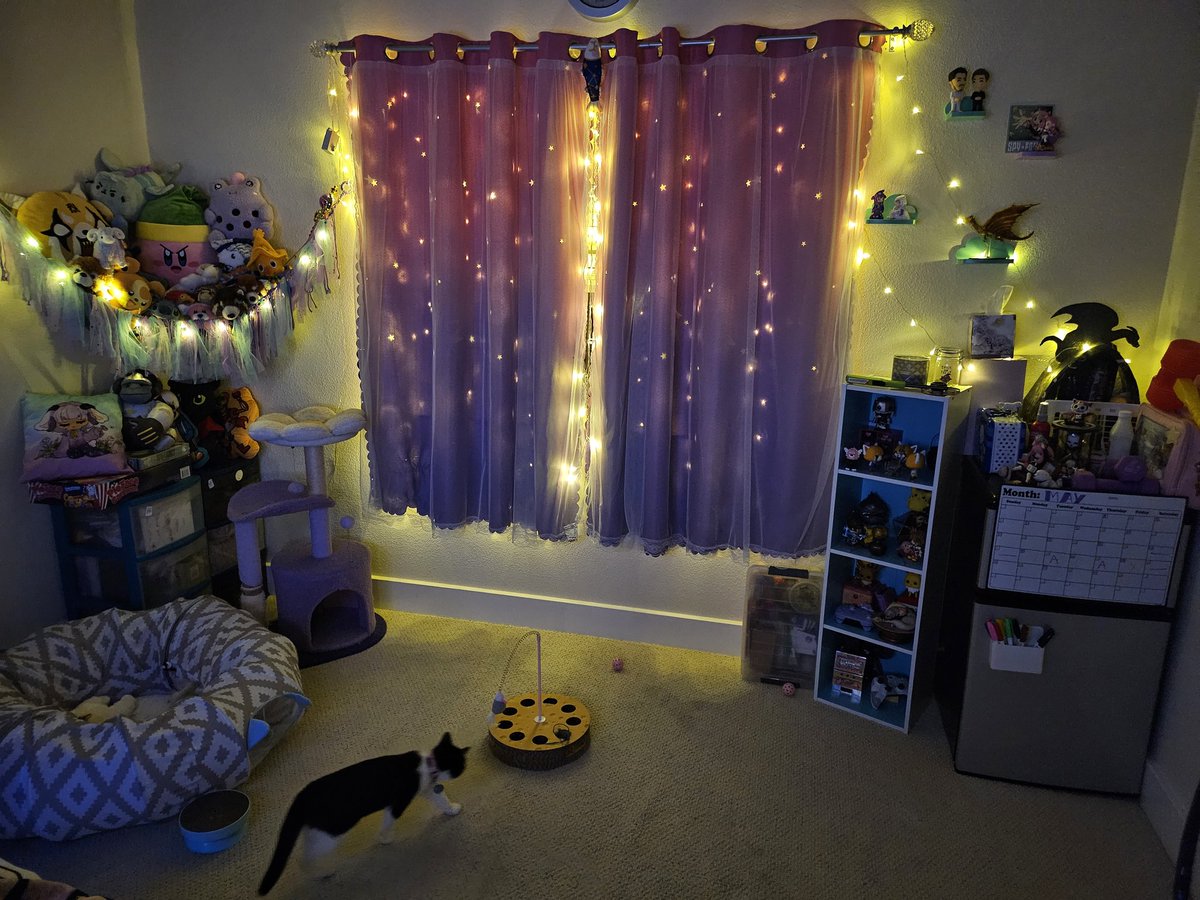 🛡 kibi ➡️ 💙 ☁ tweet media