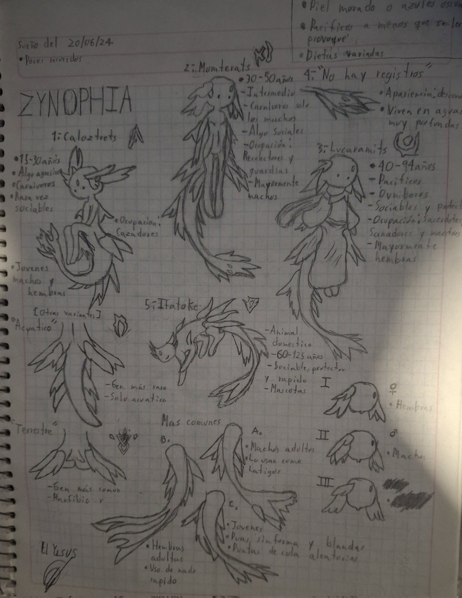Sacado de un sueño fue uno mu6 extraño. Hurge entre mis cosas y encontré mi vieja libreta fe dibujos y la hoje un poco. Hay más dibujos pero este me llamo ta atencion porque es el que tiene más información escrita que los demás