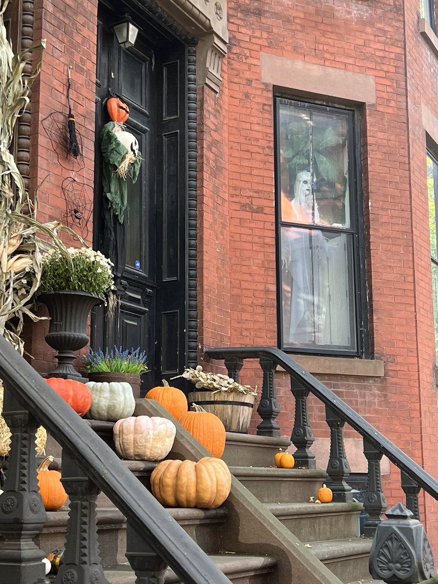 Prof. Gillian O'Brien tweet media