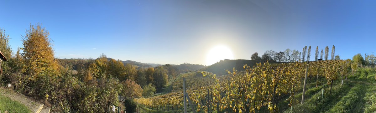 googlehupferl's tweet photo. Schönste Gegend, schönste Jahreszeit.
Bestes Lokal hier 🤩
#Gamlitz
#Südsteiermark https://t.co/pAF8b2qHuP
