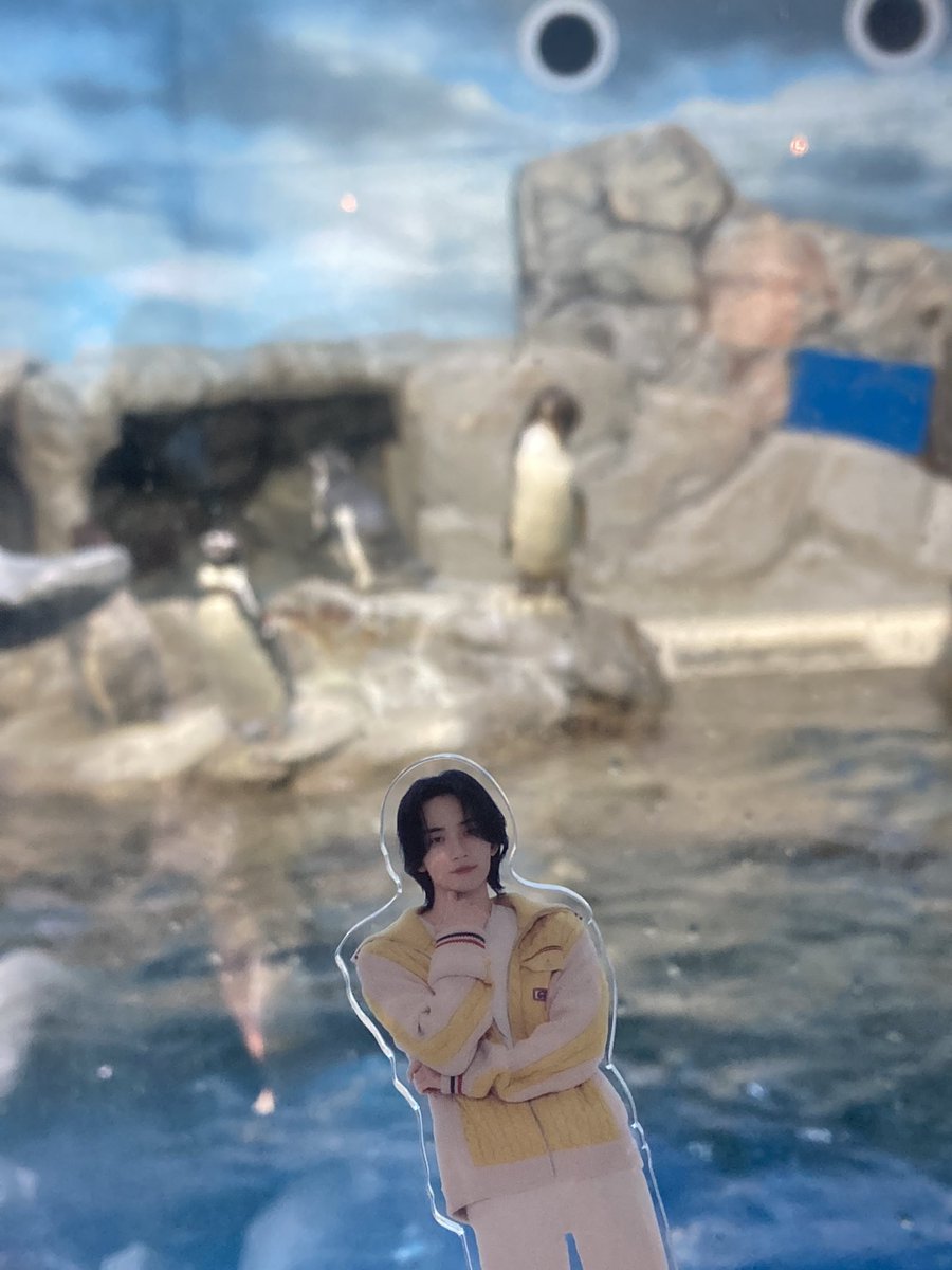 07(06)년생의 일본 캐럿입니다.ᐟ.ᐟ
친구가 갖고 싶어서 … 한국어는 아직 공부하기 시작했는데요 , 일본어를 가르칠 수 있습니다🫶🏻
많은 친구가 생기면 기쁘다.ᐟ.ᐟ

♡ - follow
 rt - follow + dm💬

 #캐럿트친소 #캐럿_트친소