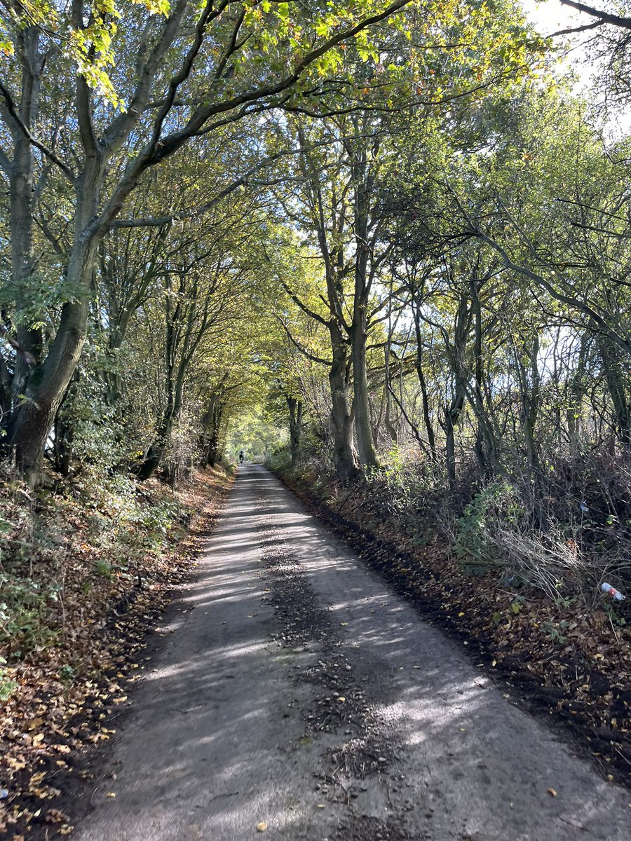 millarelpresidenti tweet media