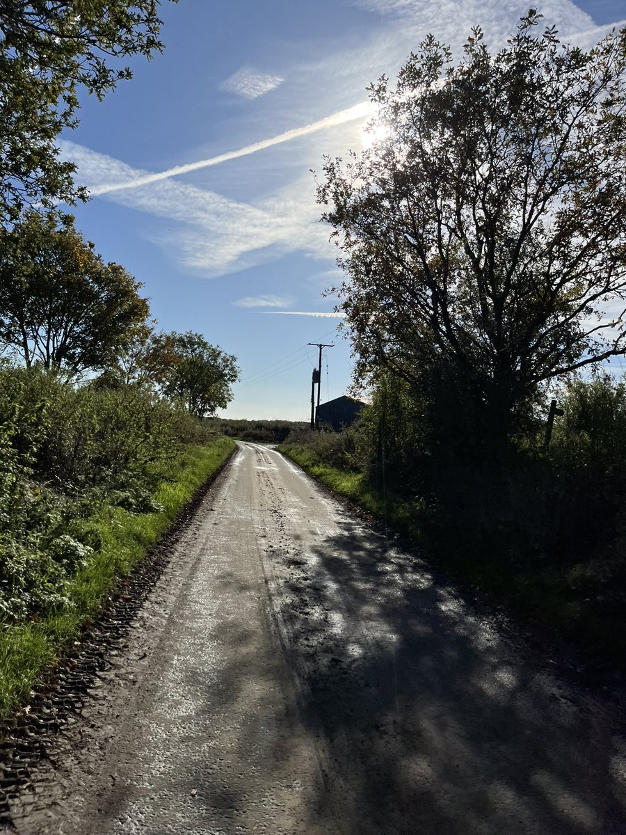 millarelpresidenti tweet media