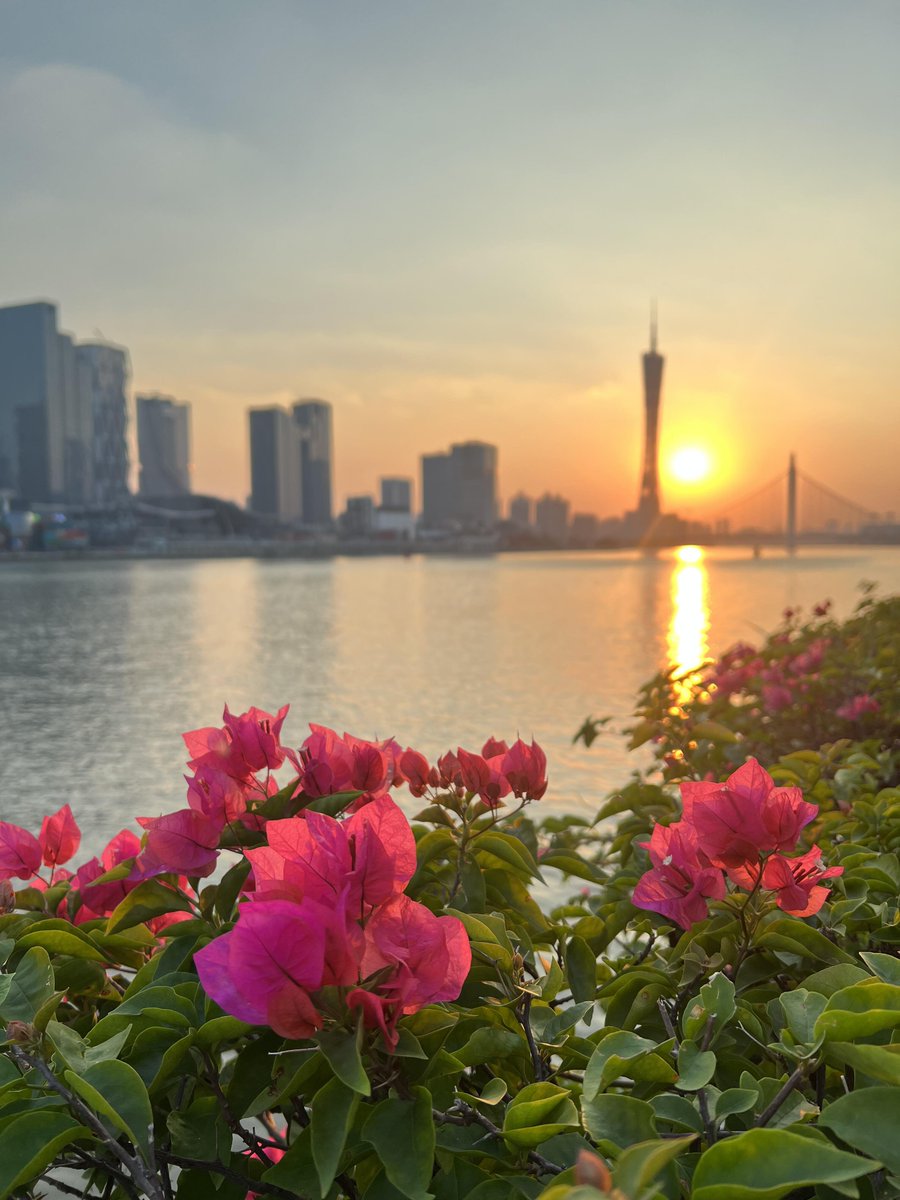 Elizabeth🌟 tweet media