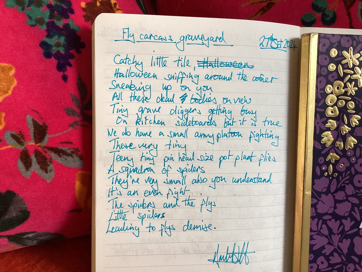 Annabel67653260's tweet photo. Fly carcass graveyard #poem #recovery #writing #poetry #RecoveryPosse #CreativeWriting #RecoveryPhrase #poemstwitter #POEMS #halloween2024 #sober #poetrysunday #MentalHealthAwareness #SelfCareSunday https://t.co/MhLqymmkJZ
