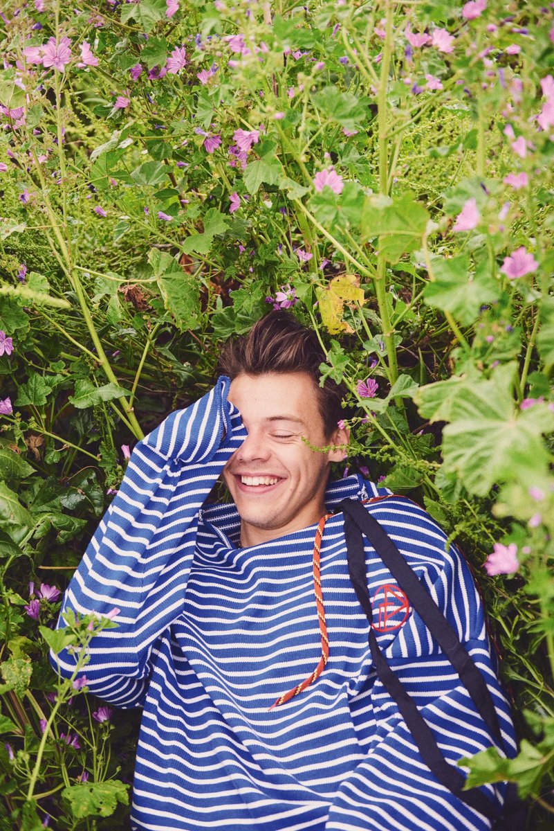 harryskiwiis's tweet photo. I would be lying if I said this photo didn’t still have me in a chokehold https://t.co/5z1HL0MpVy