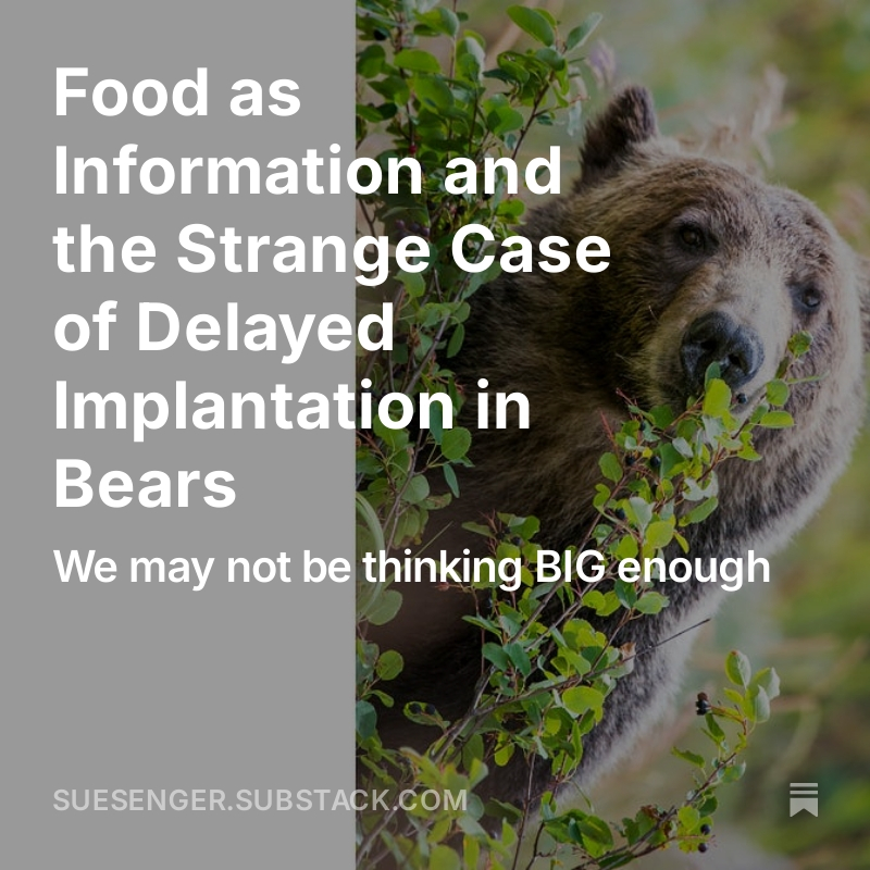 senger_sue's tweet photo. Your food choices send information to you body - It's so much more than a calorie count.
#foodisinformation
#healthandwellness
#wholefood
Food as Information and the Strange Case of Delayed Implantation in Bears https://t.co/af8XQHZclN https://t.co/8mfTi1h7Nz