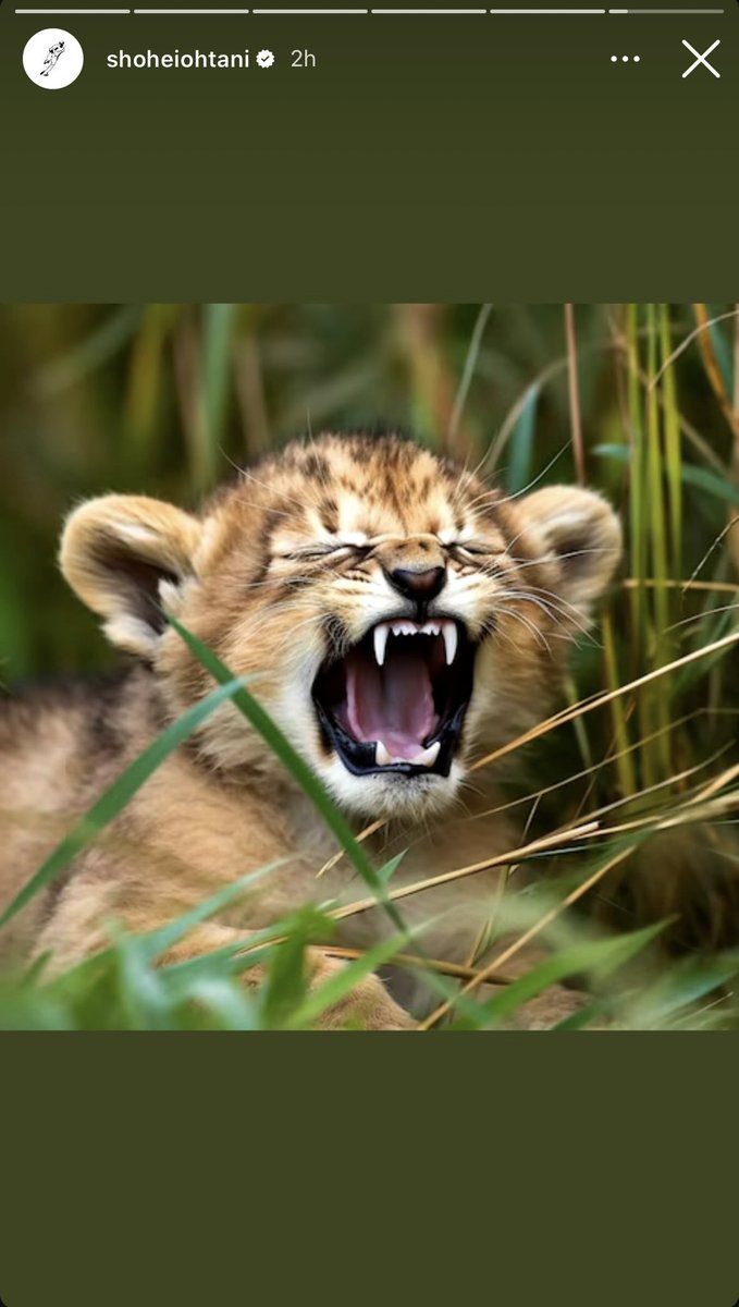 Shohei’s IG post after G2 😂