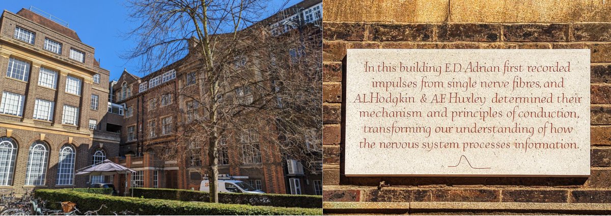 Sepiedeh Keshavarzi (@sepikeshavarzi.bsky.social) (@sepikeshavarzi) on Twitter photo 📢 Opportunity Alert! We have two open PhD positions in our lab at <a href="/PDN_Cambridge/">PDN Cambridge</a> starting in Autumn 2025. Exceptional candidates may have the opportunity to join earlier as RAs and receive PhD funding if scholarship applications are unsuccessful.
Advert: keshavarzilab.com/blog/phd-posit… 📢 Opportunity Alert! We have two open PhD positions in our lab at <a href="/PDN_Cambridge/">PDN Cambridge</a> starting in Autumn 2025. Exceptional candidates may have the opportunity to join earlier as RAs and receive PhD funding if scholarship applications are unsuccessful.
Advert: keshavarzilab.com/blog/phd-posit…