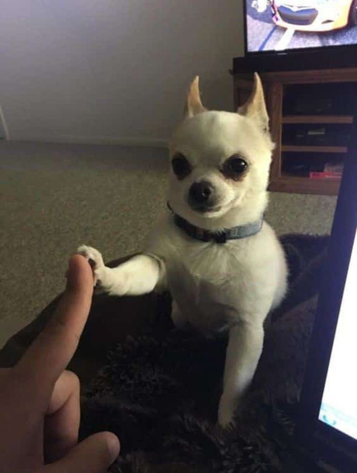ㅤ