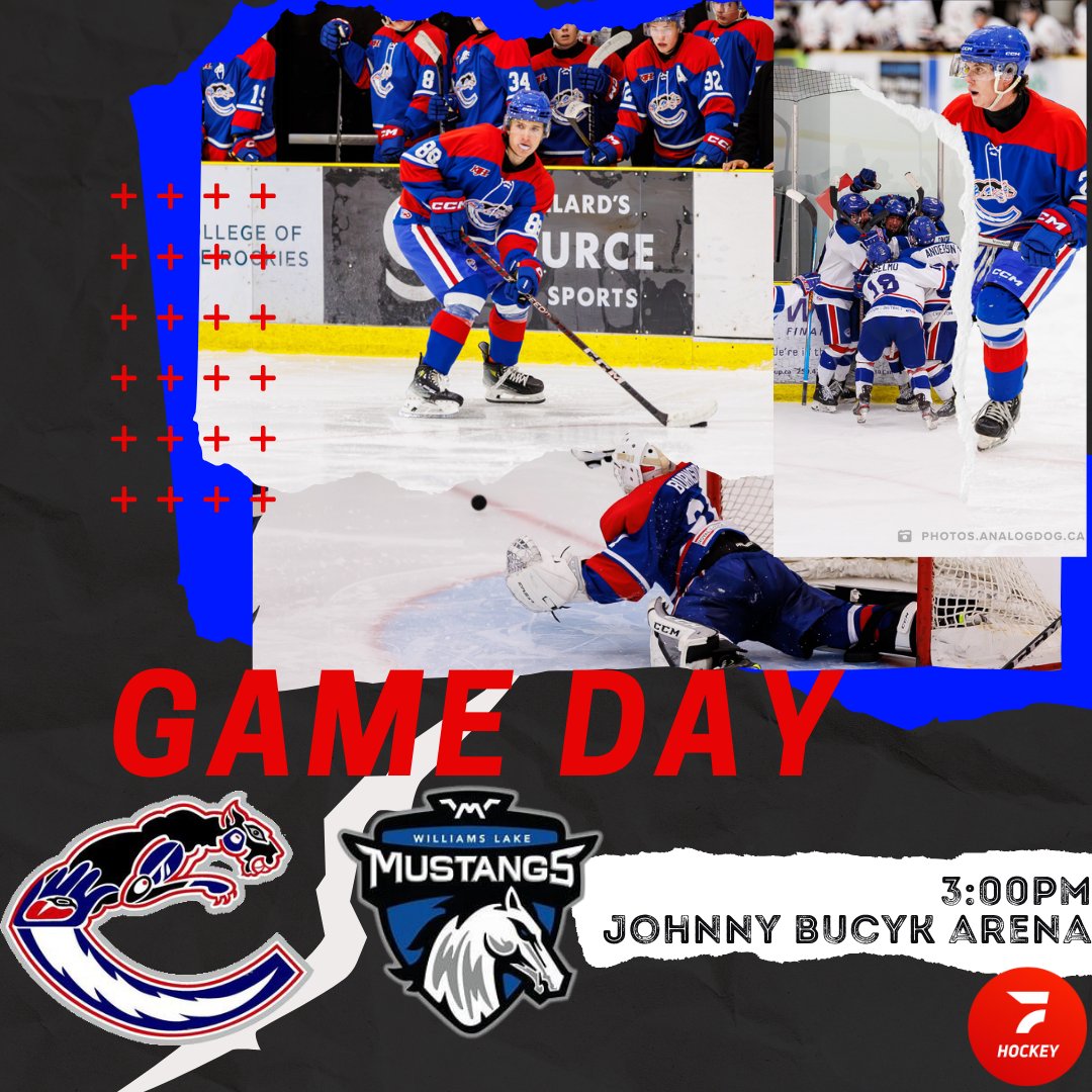 ✴️ GAME DAY ✴️ 

One of the newest KI franchises comes to town for a Sunday matinee.

Puck drops @ 3:00

Beat the lines! Get your tickets on Showpass.
Can't make it in person? Watch online at Flohockey.com

📸 Like the pics? Follow the link in our profile.