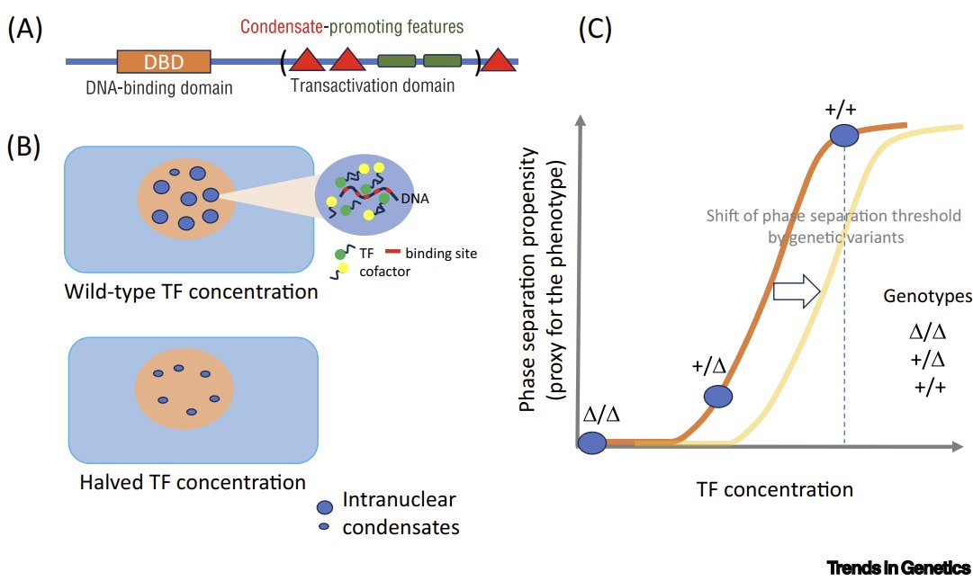 Gene Regulation tweet media