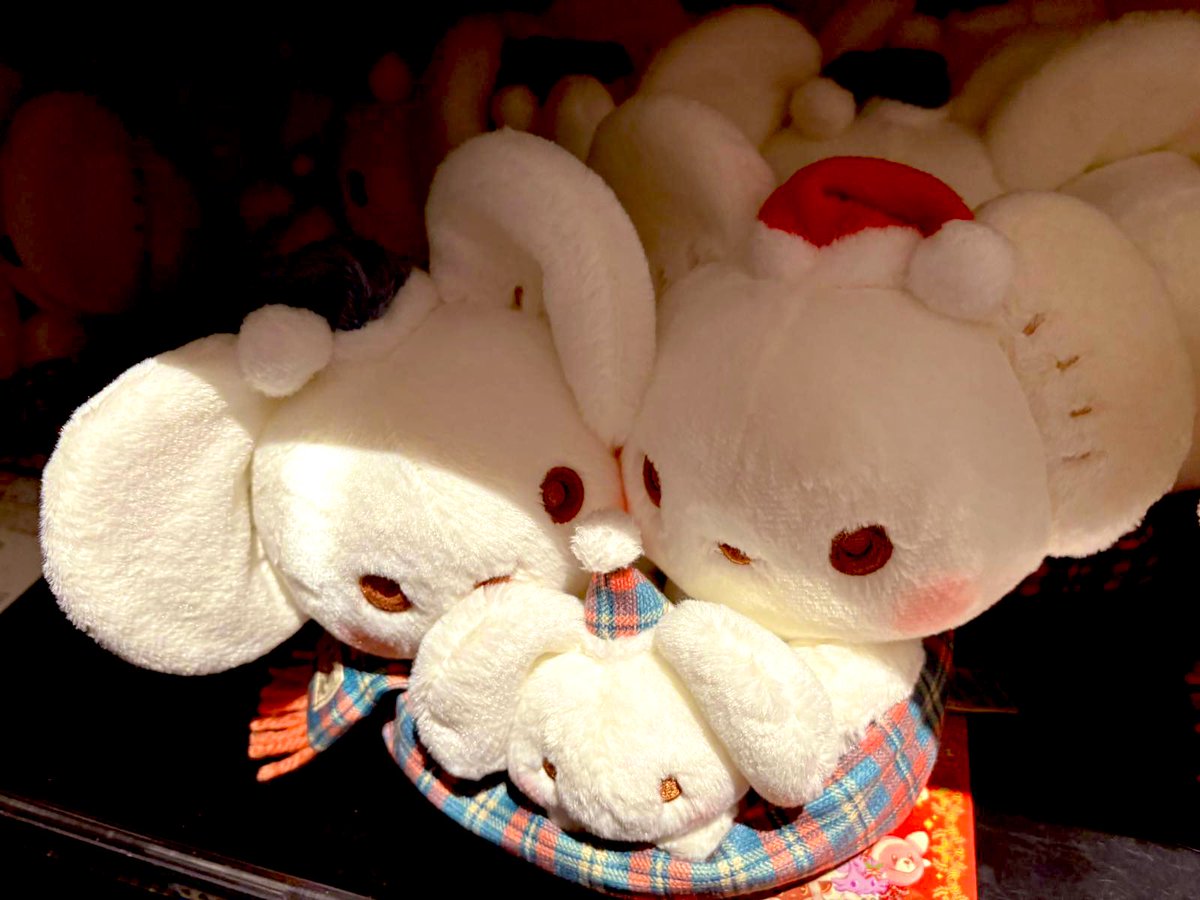 The new freshly released Christmas plushies on the shelves of the Pokémon Center - available for orders! 🥰🎄❄️