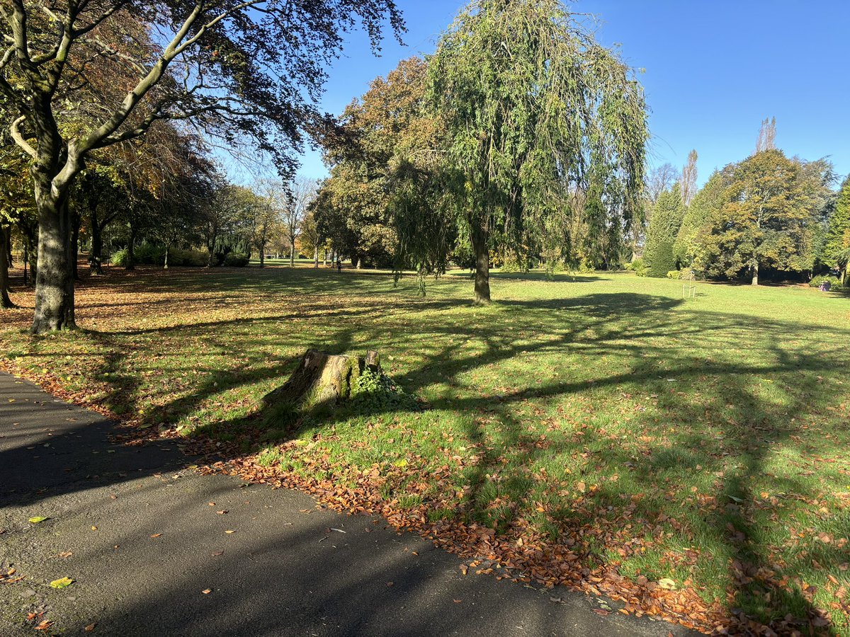 So lovely in the park this Sunday morning. Lots of wonderful conversations with random people in the sunshine.