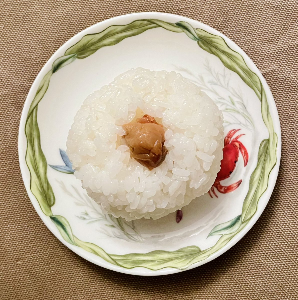 小栗左多里 tweet media