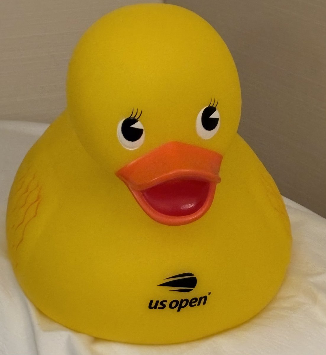 Carol Hooper tweet media