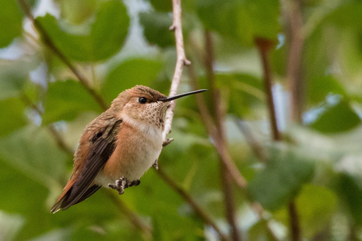 Michael Erb tweet media