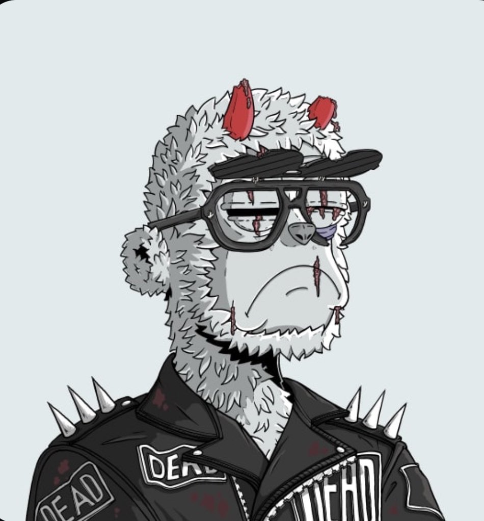 Squbed47's tweet image. Where my De[d] heads and side-winders at??

#Ded #SY
@dead_y00ts @SideY00ts